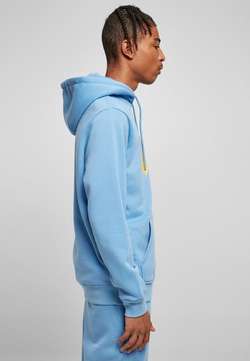 Actual product image Starter Swing Hoody - 16862 (L)