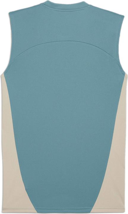 Actual product image Puma training jersey o (M)