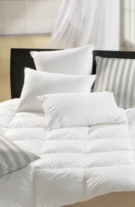 Image du produit DOR Nerium Classic (65 x 100 cm)