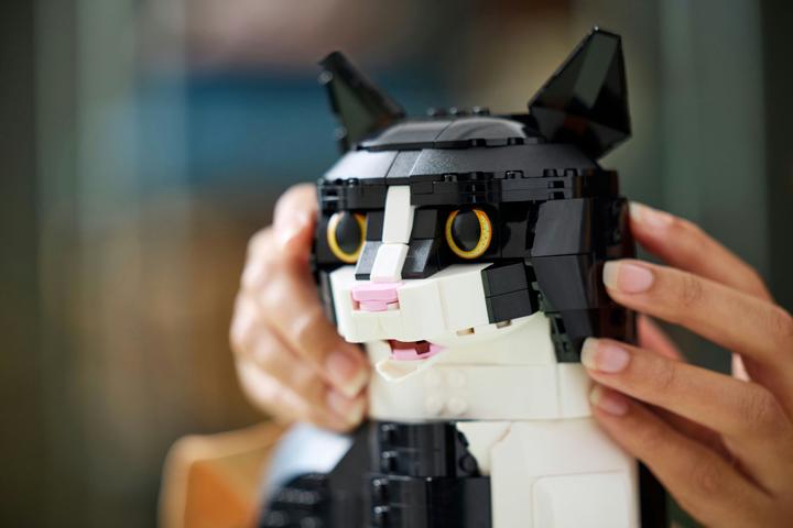 Produktbild LEGO Schwarz-weisse Katze (21349, LEGO Seltene Sets, LEGO Ideas)