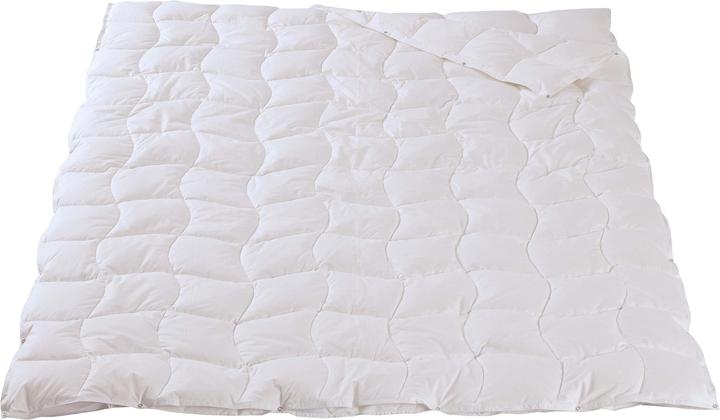 Produktbild DOR Fuchsia Pro (350 g, 200 x 210 cm)