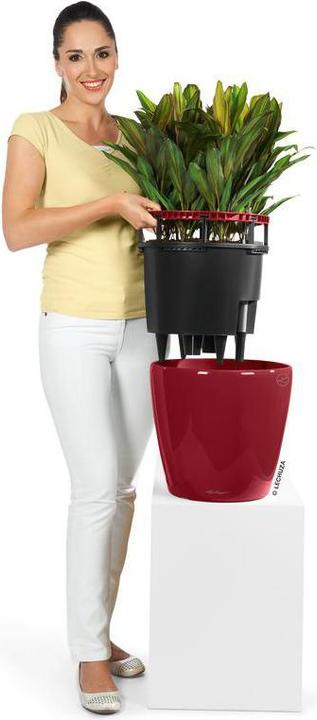 Produktbild Lechuza Classico (22 cm)