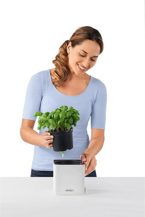 Produktbild Lechuza Cube (17 cm)