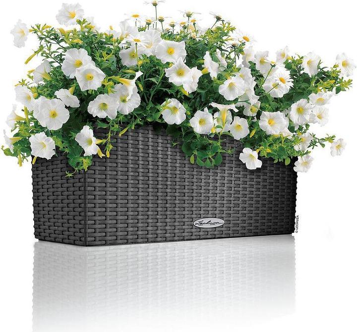 Produktbild Lechuza Balconera Cottage (19 cm)