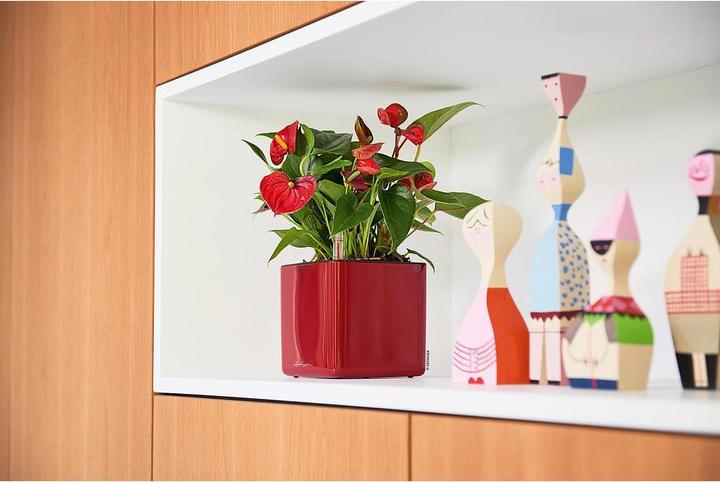 Immagine prodotto Lechuza Cube Glossy 14 (14 cm)