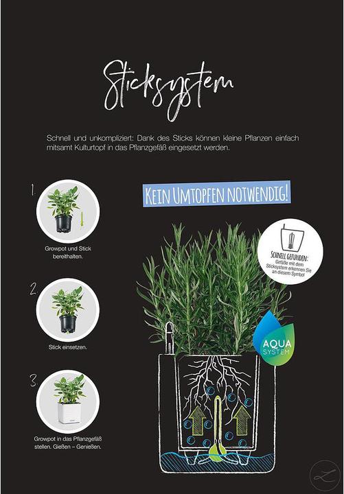 Produktbild Lechuza Green Wall Home Kit (15 cm)