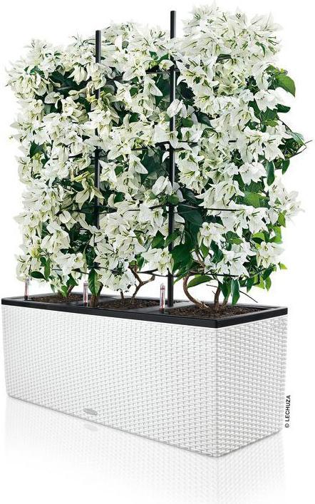 Produktbild Lechuza Trio Cottage (42 cm)