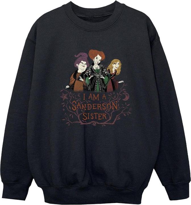 Produktbild Disney Hocus Pocus Sanderson Sister Sweatshirt Jungen (152, 158)