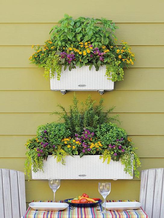 Image du produit Lechuza Balconera Cottage (19 cm)