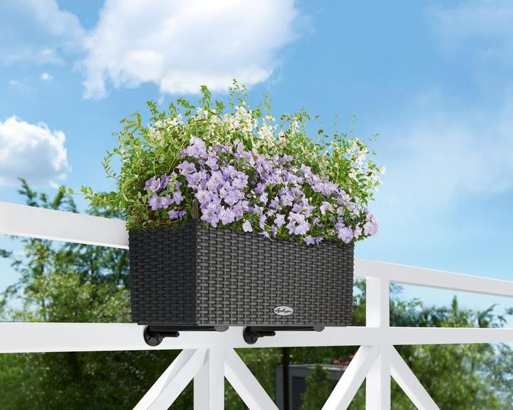 Image du produit Lechuza Balconera Cottage (19 cm)