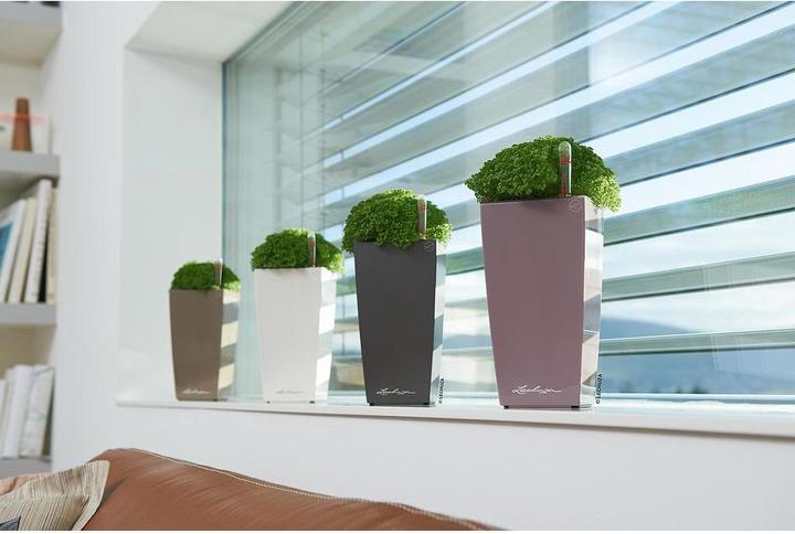 Actual product image Lechuza Planter Maxi cubi Red (14 cm)