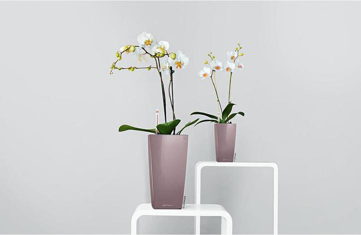 Actual product image Lechuza Planter Maxi cubi Red (14 cm)