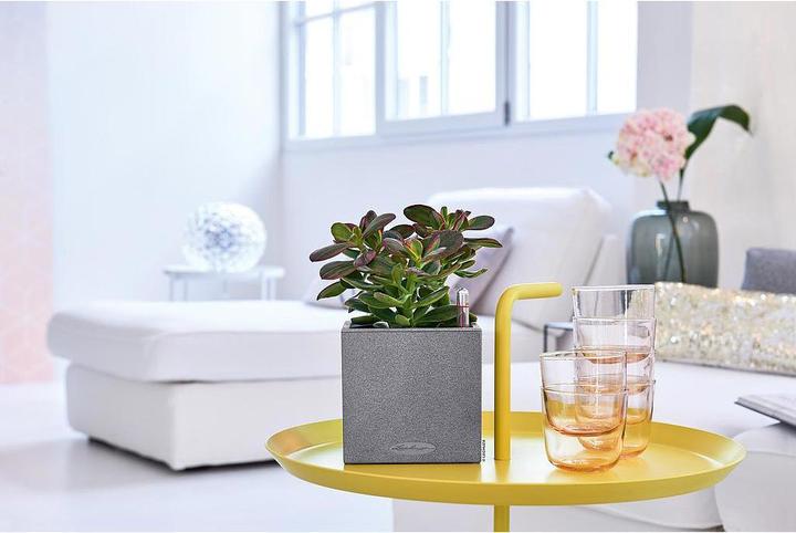 Produktbild Lechuza Canto (30 cm)