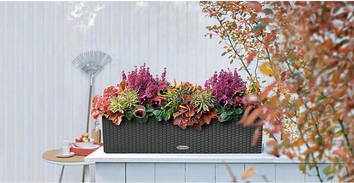 Image du produit Lechuza Chalet Balconera (19 cm)