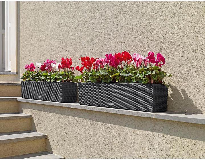 Image du produit Lechuza Chalet Balconera (19 cm)