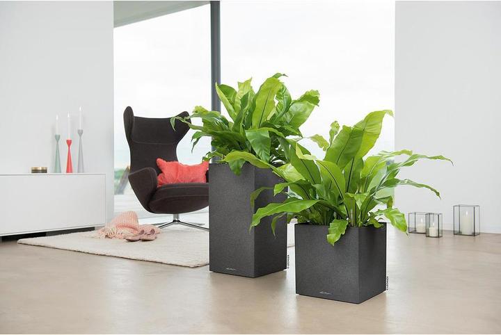 Actual product image Lechuza Canto Stone (40 cm)