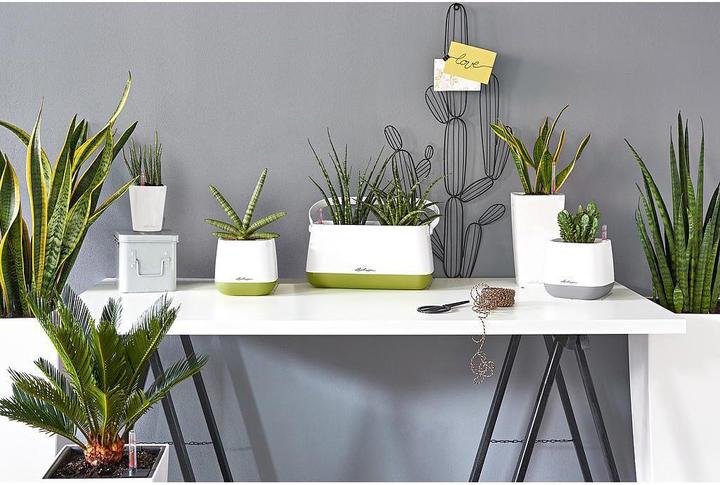 Produktbild Lechuza Mini Deltini (10 cm)