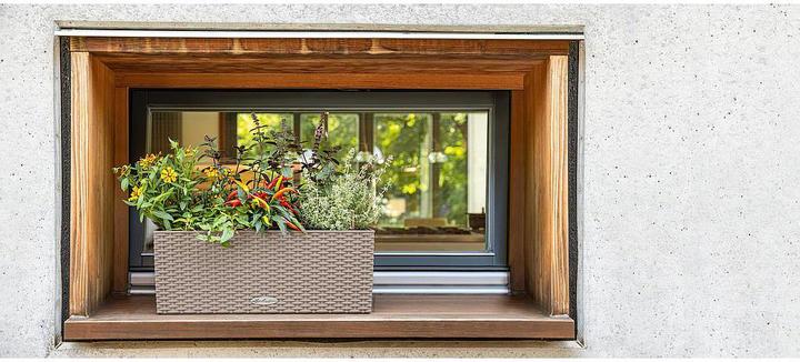 Produktbild Lechuza Blumentopf Balconera Cottage 50 (19 cm)