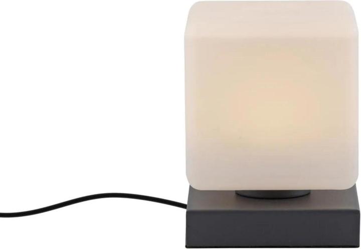 Image du produit Paul Neuhaus Dadoa (580 lm)