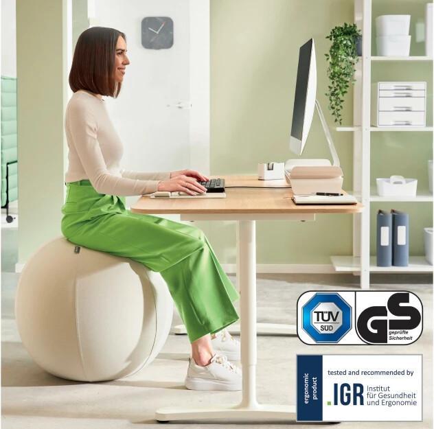 Immagine prodotto Leitz Sedile Ball Active Ø 75cm grigio chiaro (75 cm)