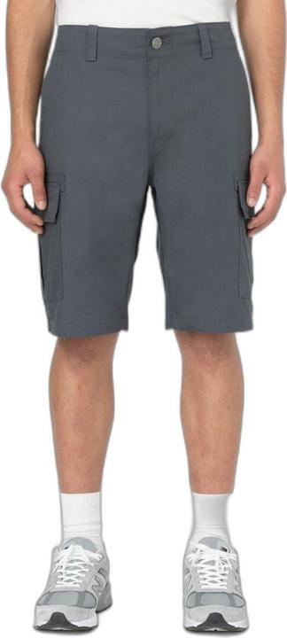 Actual product image Dickies Millerville Short (32)