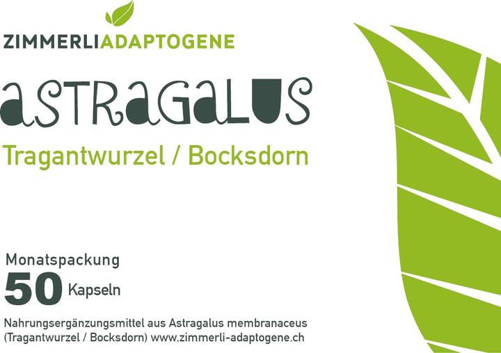Produktbild Zimmerli Adaptogene Astragalus Kapseln 50 Kapseln (1 Stück, Kapseln, 25 g)