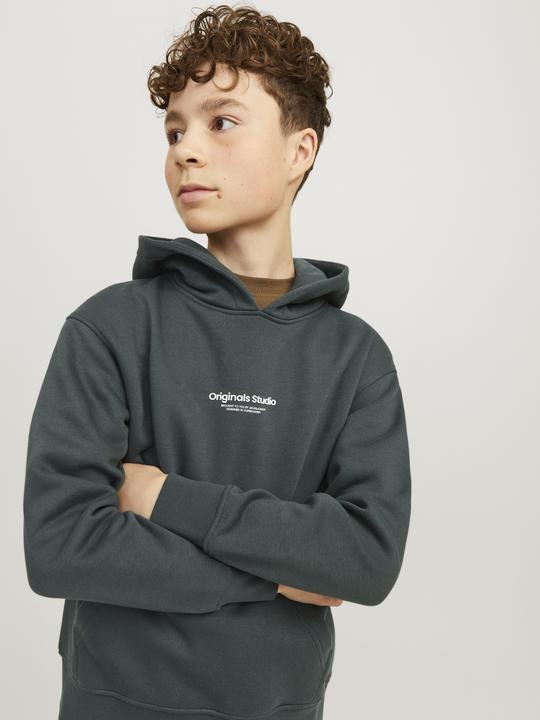 Immagine prodotto Jack & Jones Jorvesterbro Sweat Hood Noos Mni (128)