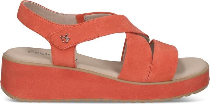 Actual product image Caprice Sandal (40)