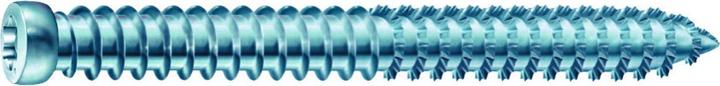 Image du produit Spax Ancrages de châssis à tête cylindrique ®-RA (100 Vis par pièce)