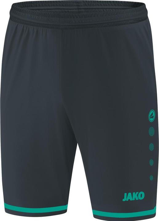 Actual product image JAKO Sports Pants Striker 2.0 (L)