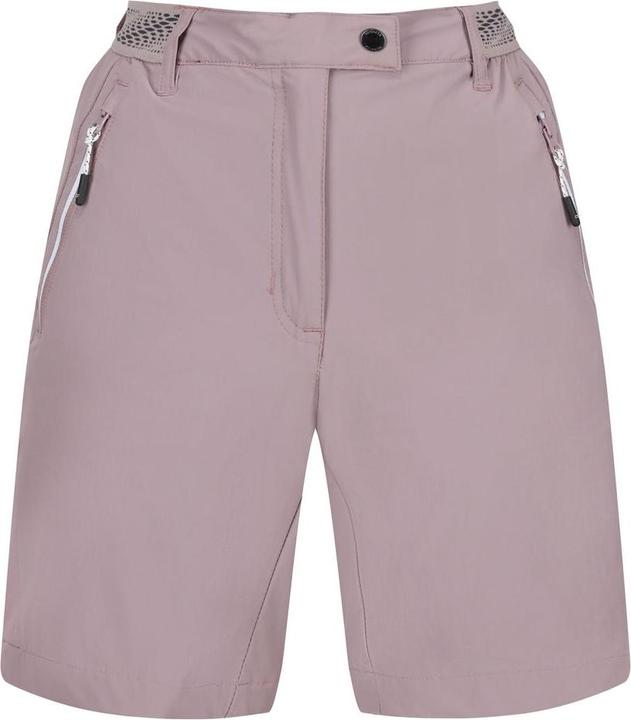 Actual product image Regatta Mountain Shorts II (L)