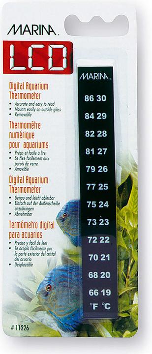 Image du produit Marina Minerva
