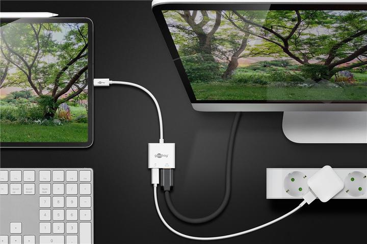 Immagine prodotto Goobay Adattatore USB C (USB, 14.50 cm)