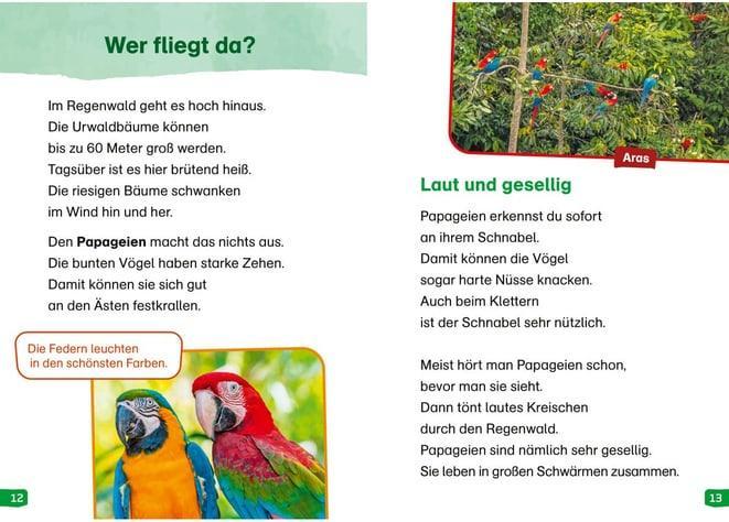 Produktbild Tessloff WAS IST WAS Erstes Lesen easy! Band 18. Tiere im Regenwald (Deutsch, Sonja Meierjürgen, Marie Gerstner, 2024)