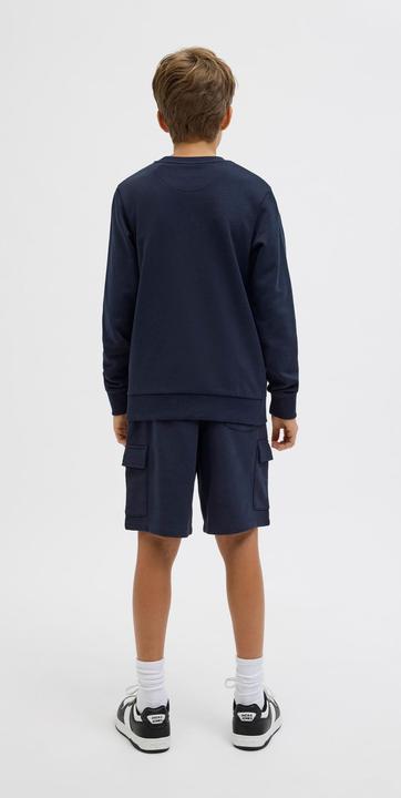 Actual product image Jack & Jones Jpstbradley Sweat Cargo Shorts Sn Jnr (140)