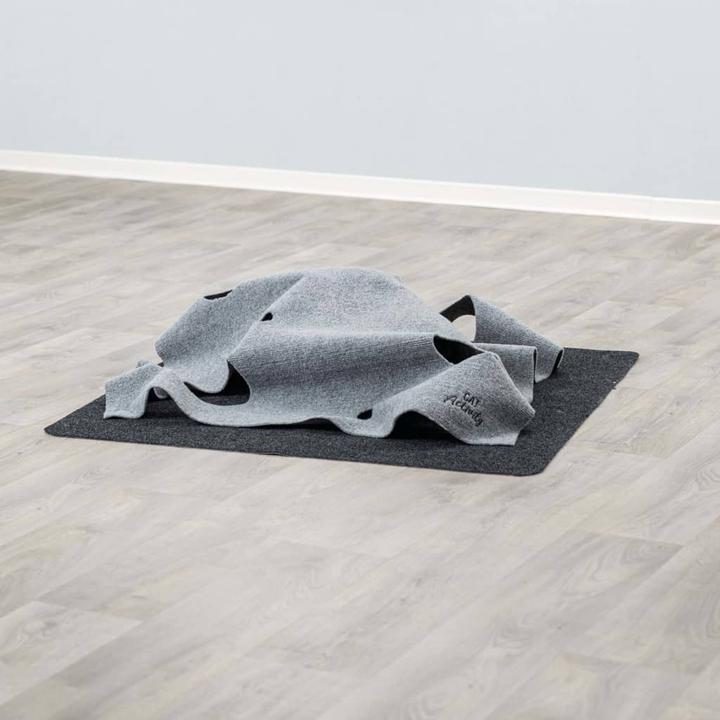 Actual product image Trixie Adventure Carpet