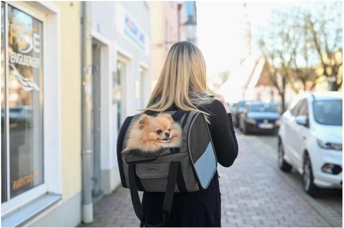 Actual product image Kerbl Dog Backpack Vacation (Dog, Reflectors, Machine washable)