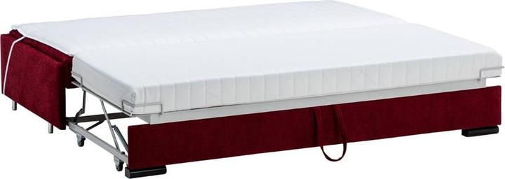 Immagine prodotto Juno (Divano letto)