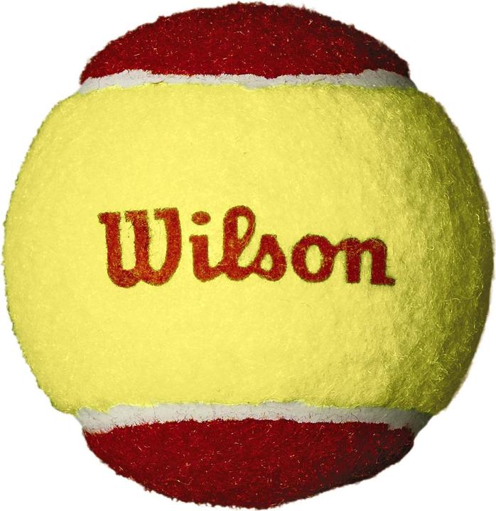 Actual product image Wilson Starter Red Tball 36 Pack