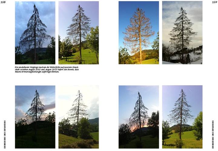 Actual product image Strategien der Natur (German, Erwin Thoma, 2019)