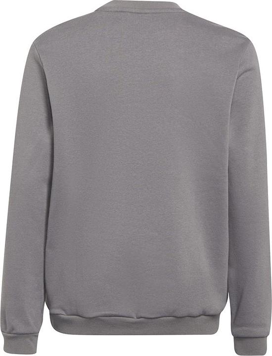 Immagine prodotto adidas Entrada 22 felpa bambini (164)