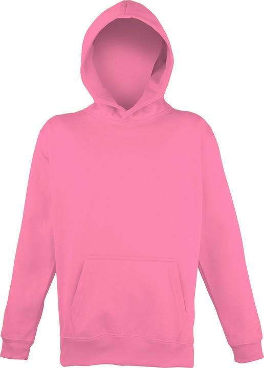 Image du produit Awdis Pull à capuche (152)