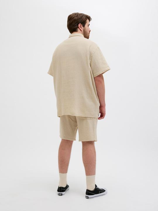 Produktbild Jack & Jones Plus Size Loose Fit Relaxed Fit Shorts Relaxed Fit Shorts (42)