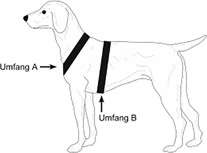 Produktbild Niggeloh Hundeführgeschirr Follow Trail (M, Hund, Hundesport)