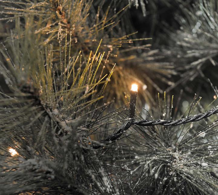 Actual product image Konstsmide Fairy lights (4.19 m)
