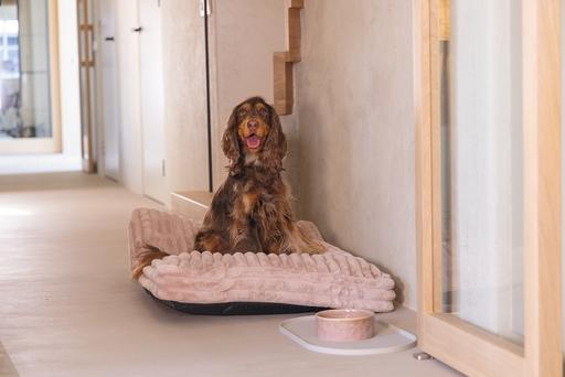 Productafbeelding Designed by Lotte Reza ligkussen (Hond)