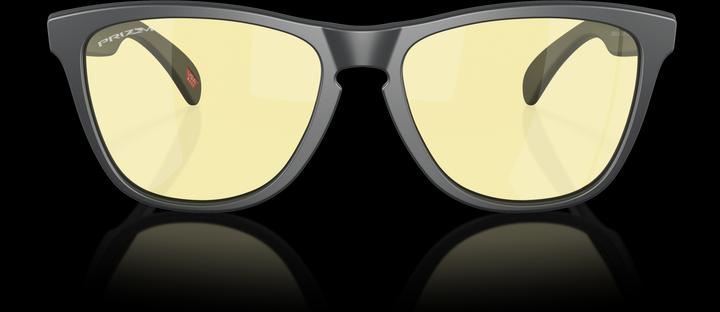 Actual product image Oakley Frogskins