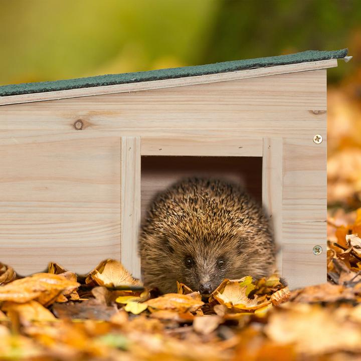 Actual product image Relaxdays Hedgehog House