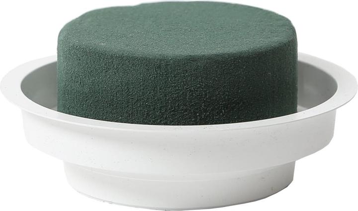 Image du produit Oasis Mousse enfichable