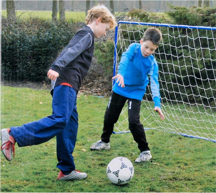 Image du produit But de football